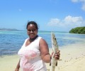 Barracuda on Union island, Grenadines
