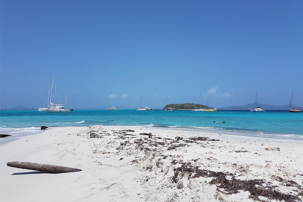 Grenada Sailing